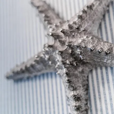 ゲストハウス Molmare Bladzikowo