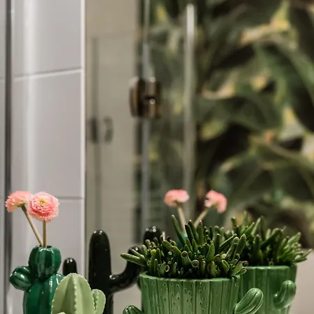 Molmare ゲストハウス 3*