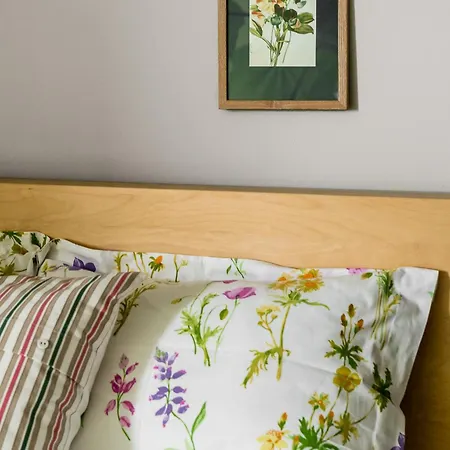 Molmare ゲストハウス 3*