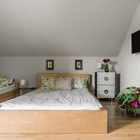 Guest house Molmare