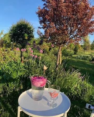 Molmare ゲストハウス 3*