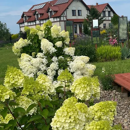 Guest house Molmare Bladzikowo