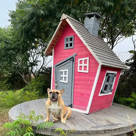 Molmare ゲストハウス 3*