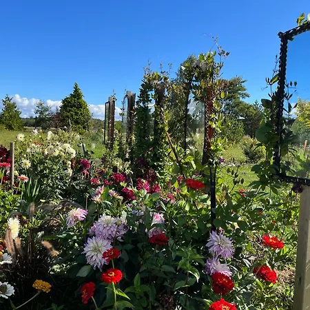 ゲストハウス Molmare