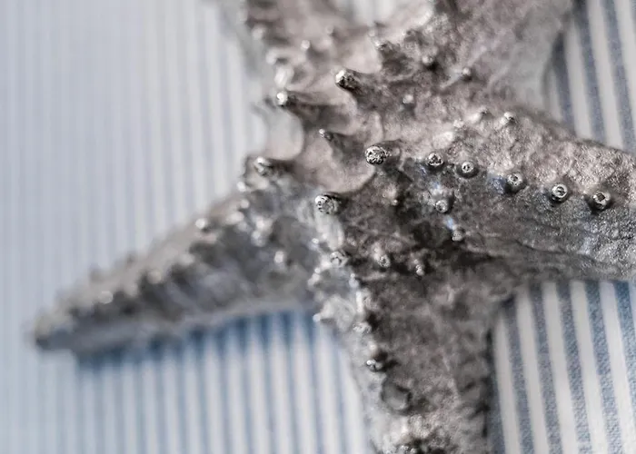 Pensionat Molmare Bladzikowo