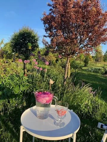 Molmare Pensionat 3*