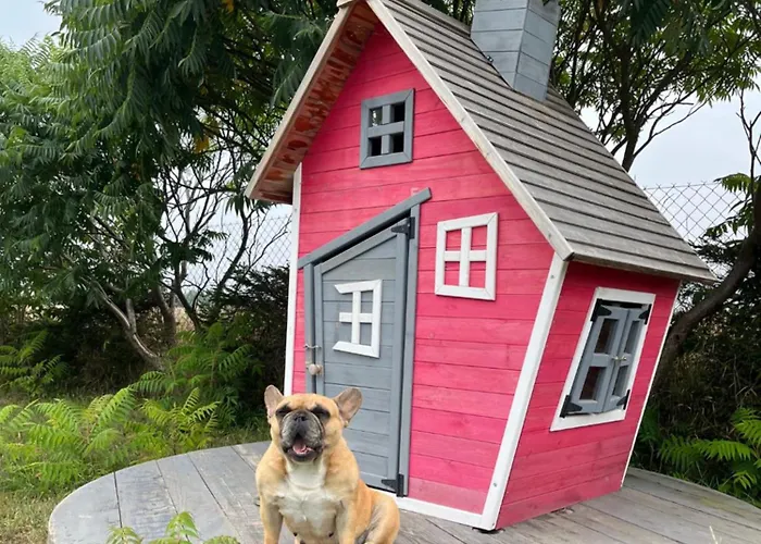 Molmare Pensionat 3*