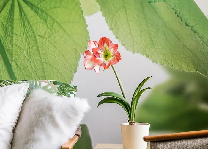 Molmare 3* Bladzikowo